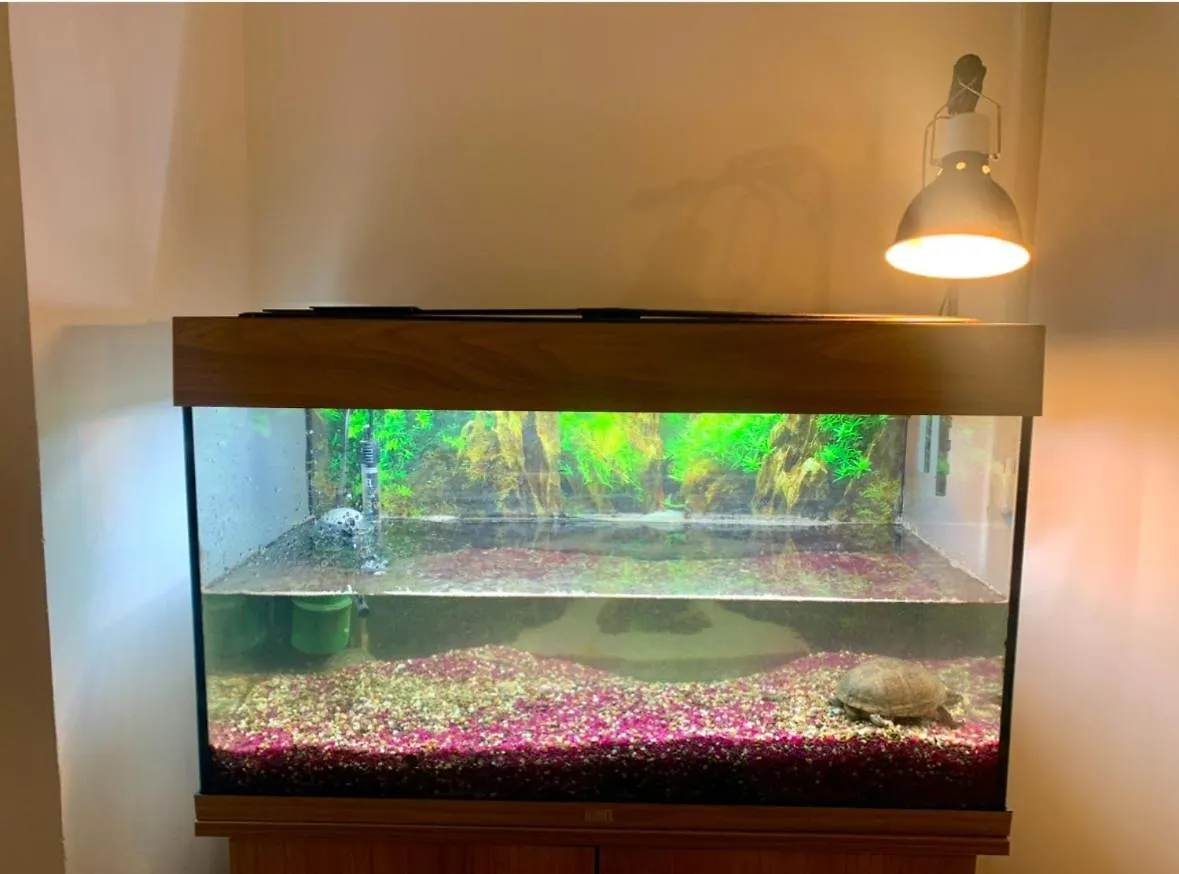 Die Perfekte Aussicht Mitten Wien Apartman